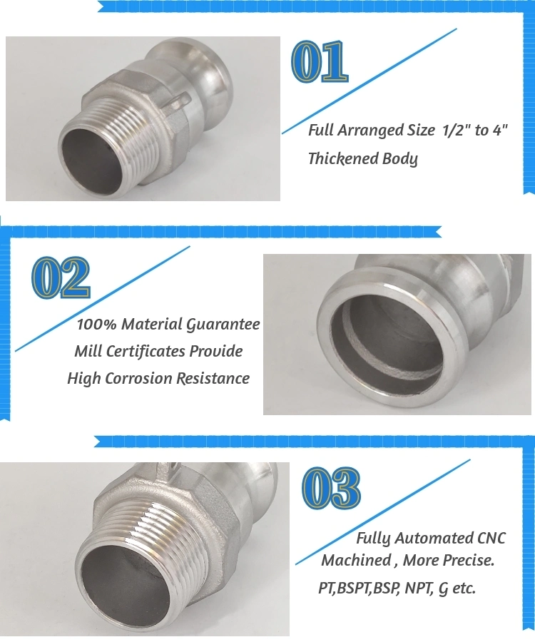 Stainless Steel Camlock Fittings Bsp Thread