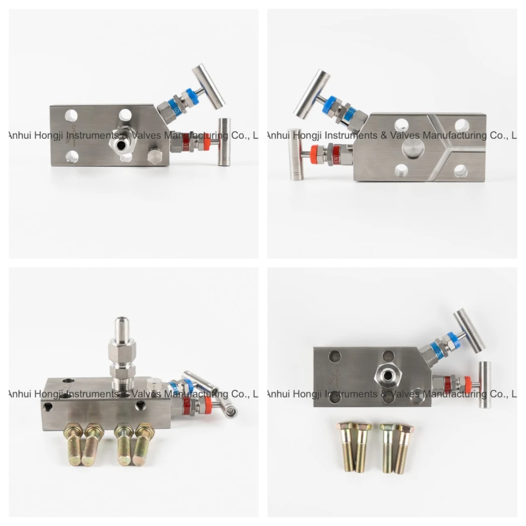 Stainless Steel Coplanar Type Two-Valve Manifold